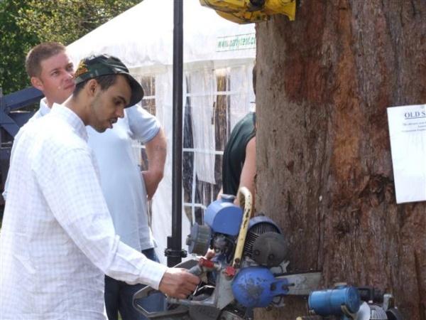 Capel 08 - Principal Trees -  Professional Arboricultural Services