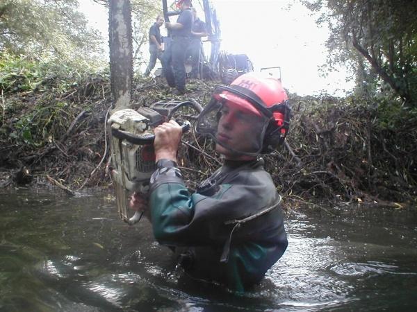 Conservation - Principal Trees -  Professional Arboricultural Services