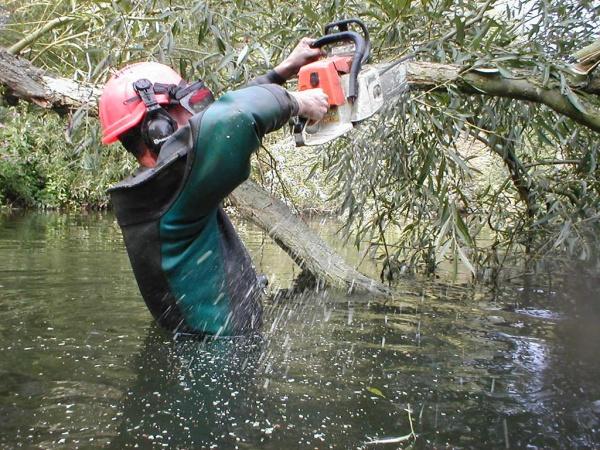Conservation - Principal Trees -  Professional Arboricultural Services
