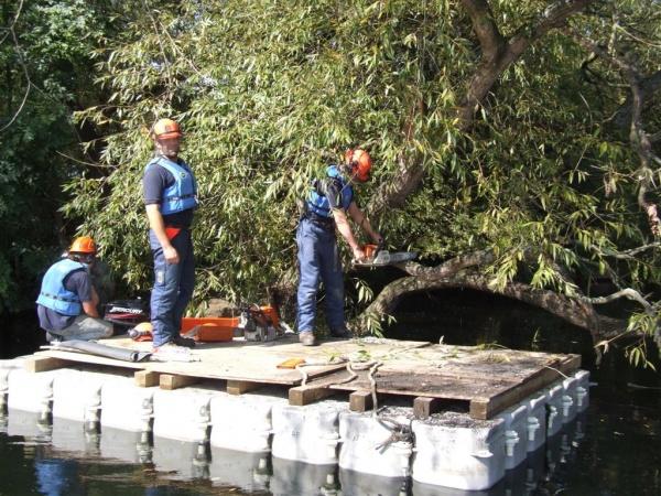 Conservation - Principal Trees -  Professional Arboricultural Services