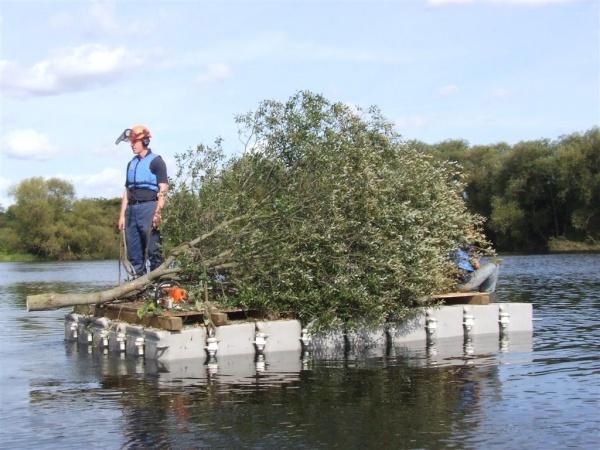 Conservation - Principal Trees -  Professional Arboricultural Services