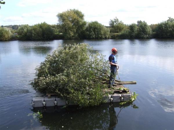 Conservation - Principal Trees -  Professional Arboricultural Services