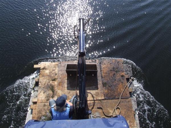 Conservation - Principal Trees -  Professional Arboricultural Services