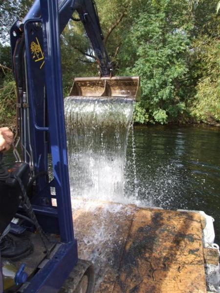 Conservation - Principal Trees -  Professional Arboricultural Services