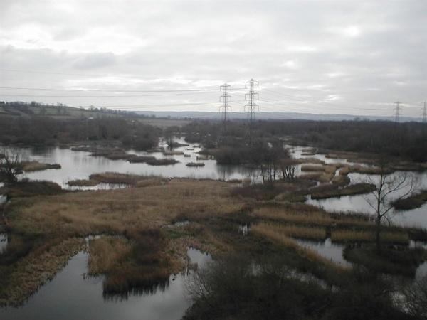 Conservation - Principal Trees -  Professional Arboricultural Services