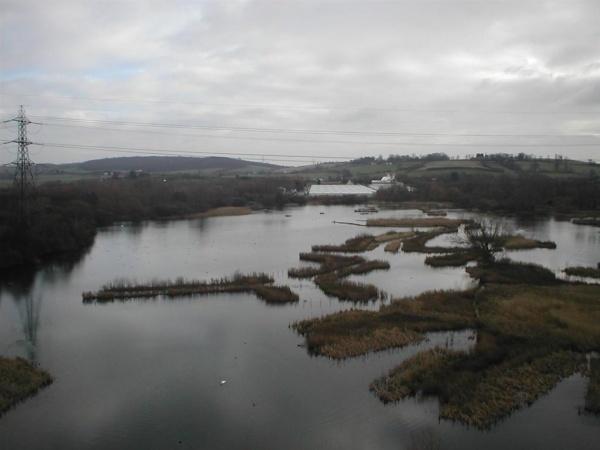 Conservation - Principal Trees -  Professional Arboricultural Services