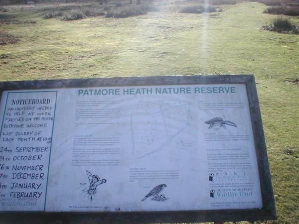 Conservation - Principal Trees -  Professional Arboricultural Services