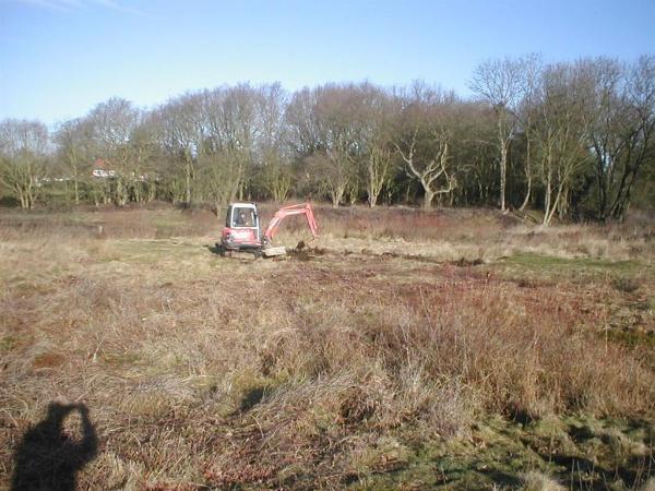 Conservation - Principal Trees -  Professional Arboricultural Services