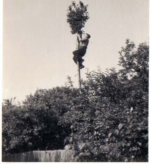 1964 Palmers Green, London, N13.